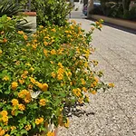 Casa vacanze Al Civico 365