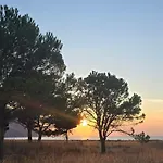 Casa vacanze Al Civico 365