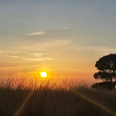 Al Civico 365 Dom wakacyjny *