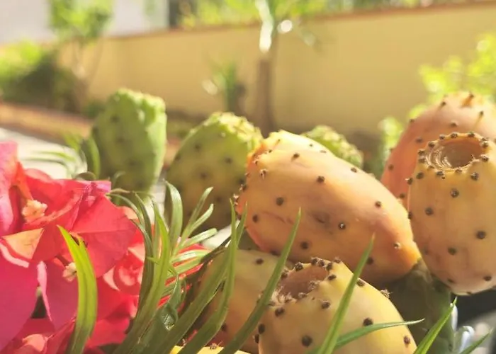 Al Civico 365 * Castelluzzo