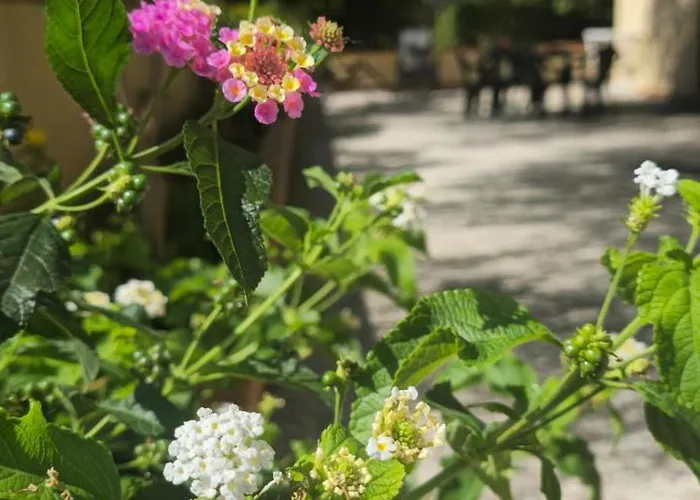 Al Civico 365 Castelluzzo