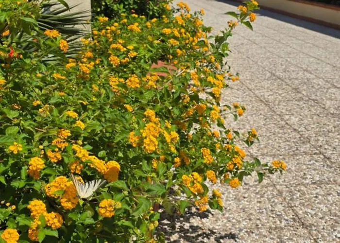 Dom wakacyjny Al Civico 365