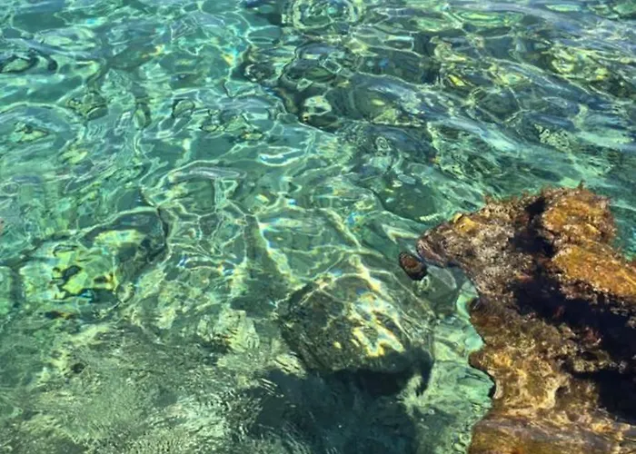 Al Civico 365 Dom wakacyjny Castelluzzo