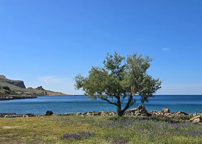 Dom wakacyjny Al Civico 365 Castelluzzo